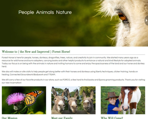 ForestHorse-web