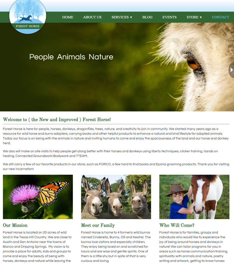 ForestHorse-web